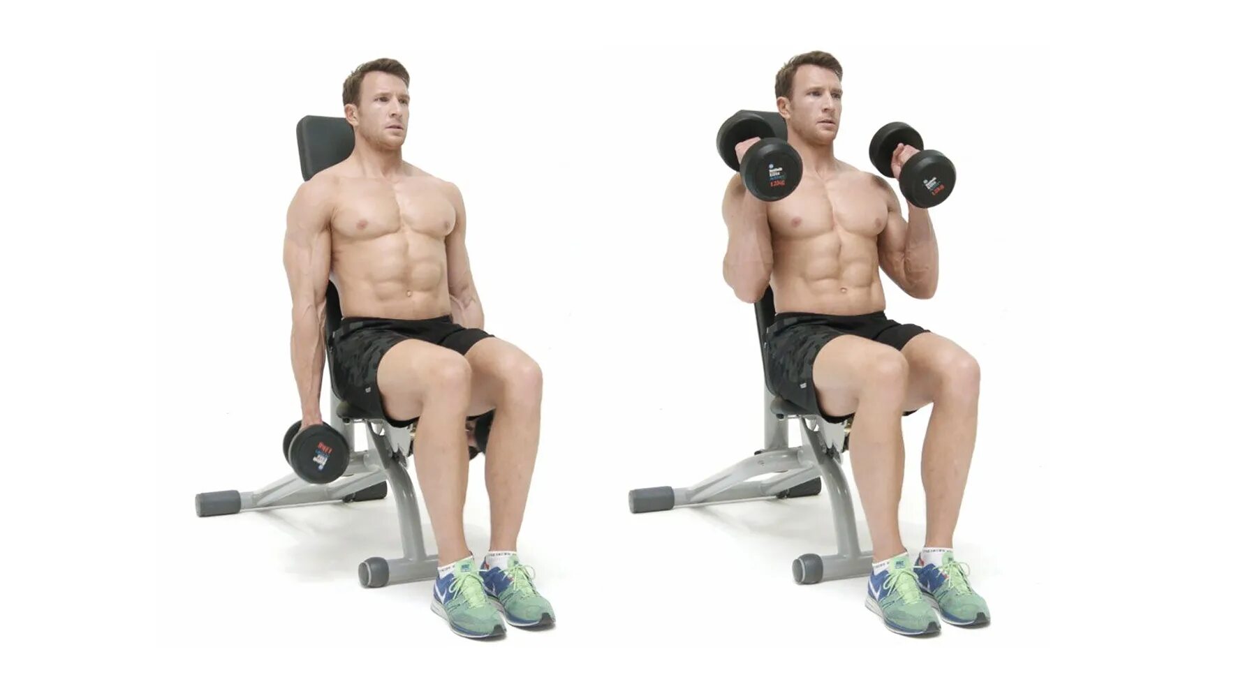 Curl 4. Hammer Curls 4x10. Seated Hammer Curl. Подъем гантелей на бицепс сидя с супинацией. Dumbbell Hammer Curl.