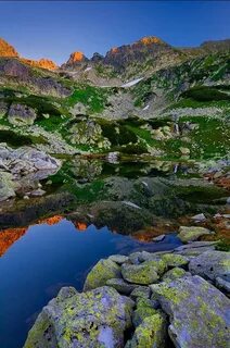 Красота стали