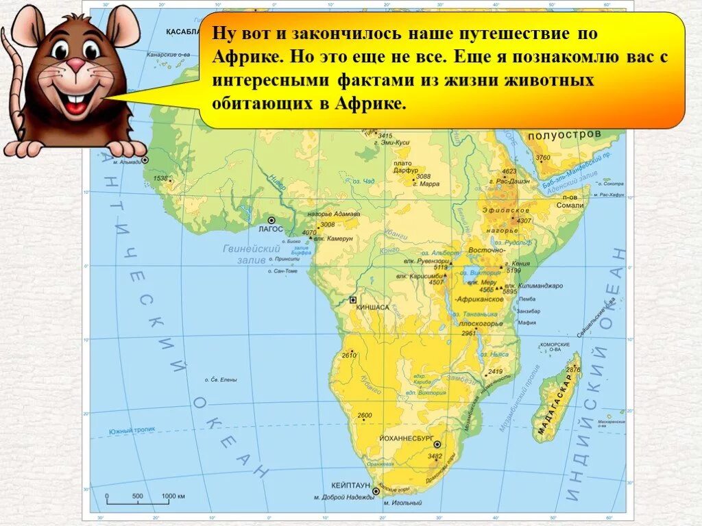Картографический практикум по африке. Географическое положение африки и австралии. Правила путешествия по материку африка. Африка презентация. Африка это материк кратко.