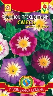 Вьюнок трехцветный семена