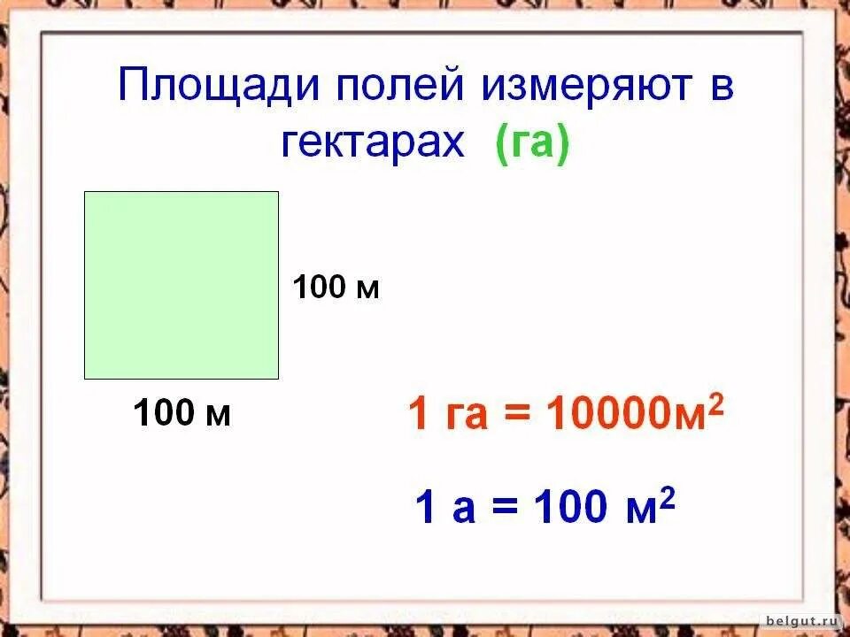 Приложение метр квадратный. Квадрат площадью 1 гектар. 1 Гектар равен сколько метров квадратных. 100 Метров на 100 метров сколько гектар. 1 Гектар в метрах размер.