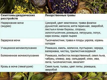 Недержание мочи у пьющей женщины