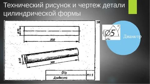 Чертеж скалки