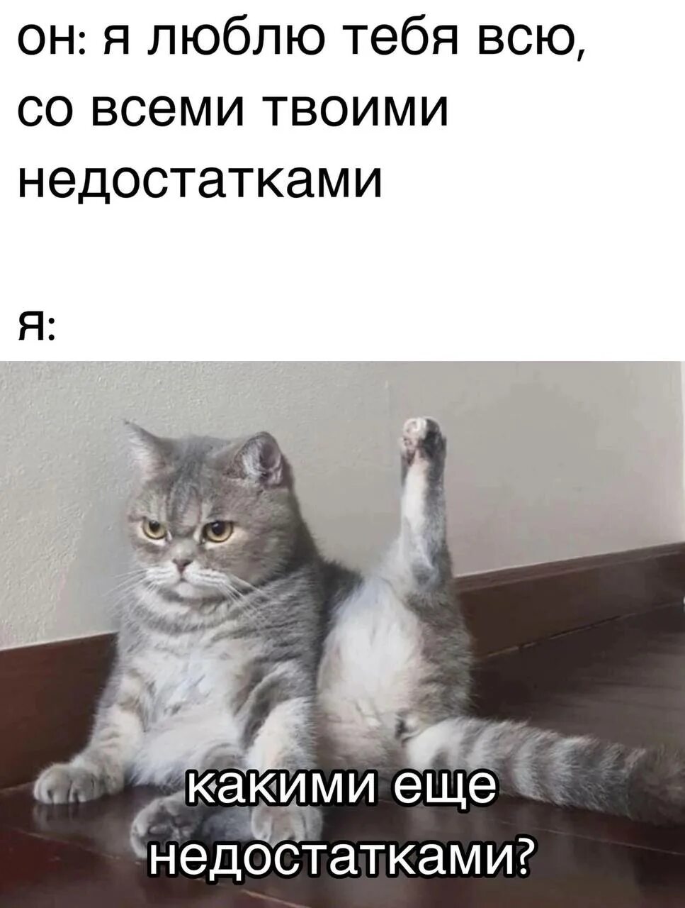 С тобой я твой недостаток без тебя. Тонкая шутка мем. я любила тебя всего со всеми твоими изъянами. люблю твои недостатки. я люблю тебя со всеми твоими недостатками какими недостатками.