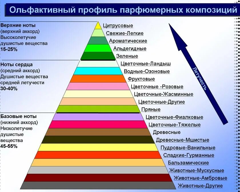 Как называется человек определяющий запахи