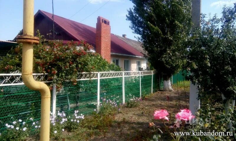 ст мингрельская абинского района краснодарского края. абинский район станица федоровская. абинский район, ст. базарная, 45. мингрельская краснодарский край администрация.