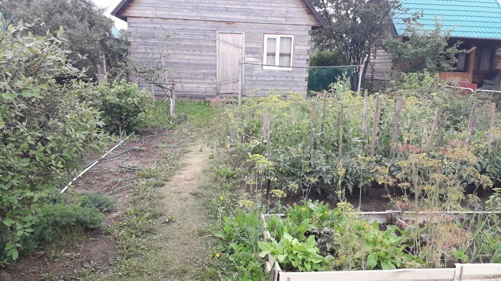 Совхоз Левобережный, СПК "Родничок",. Дачный кооператив Родничок старый Салтов. Участок в Совхозе Левобережный Новосибирск СПК Родничок. Совхоз Левобережный, СПК "Родничок", ул.Лесная, участок №75 а.