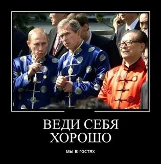Приколы веди