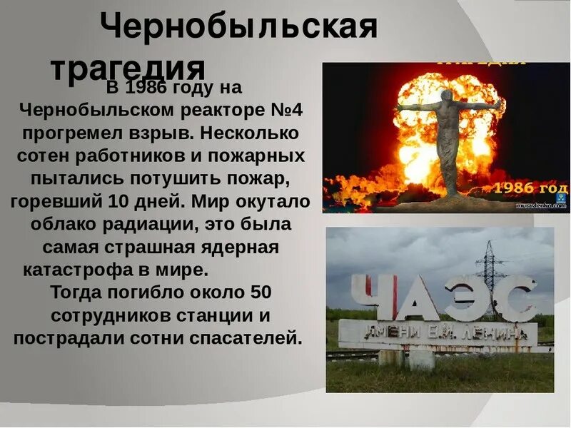 Сколько лет чернобылю в 2025 году