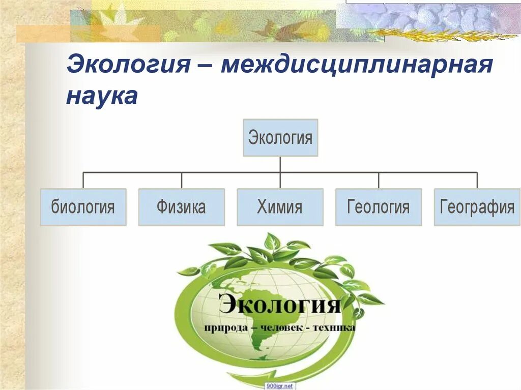 Биология как наука ответы на вопросы. Экология как наука. Экология это в биологии. Взаимосвязь биологии и экологии. Экология междисциплинарная наука.