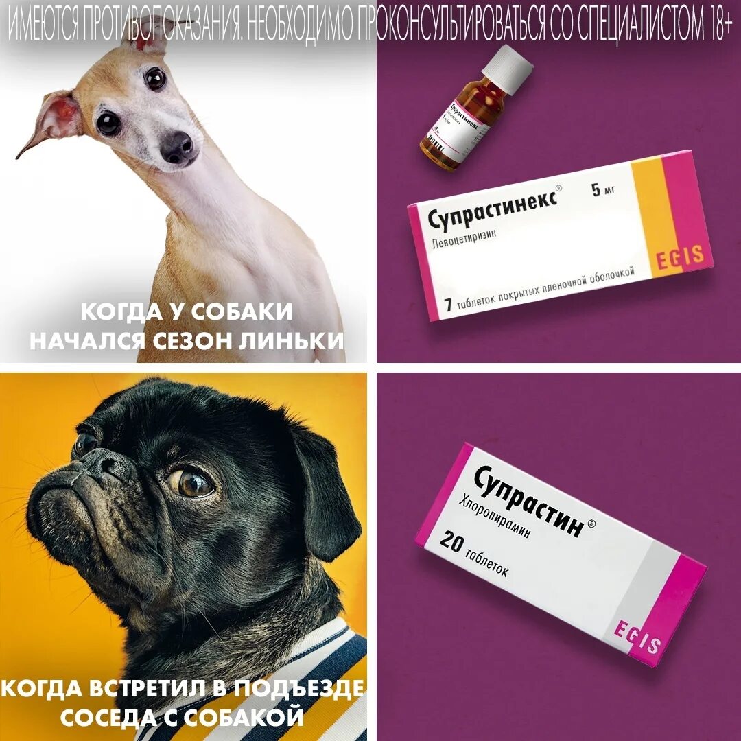 Супрастинекс для собак. Супрастинекс реклама. Супрастин собаке. Супрастин реклама. Сколько давать супрастина собаке