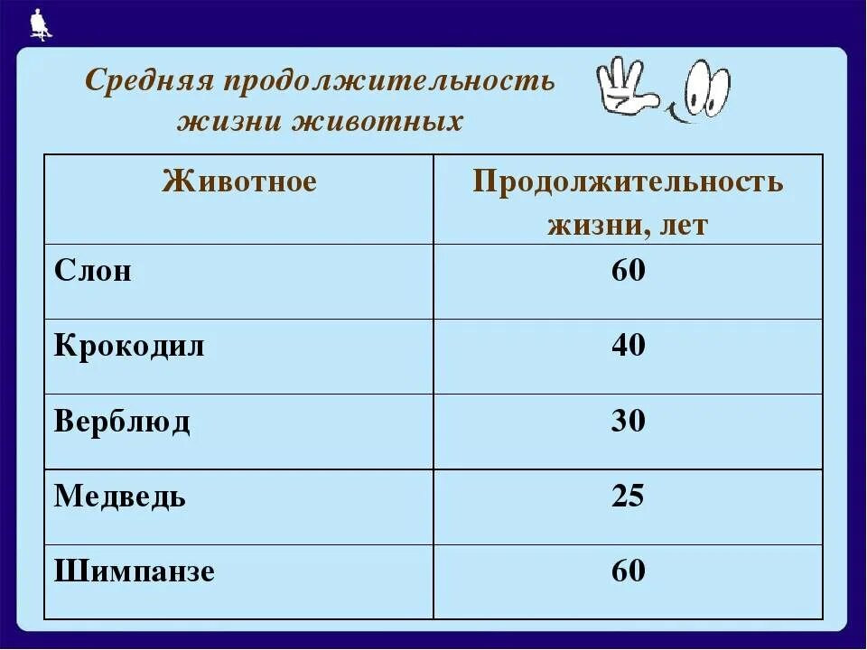 Изменения в жизни животных летом таблица. Продолжительность жизни животных 1 класс окружающий. Продолжительность жизни животных окружающий мир первый класс. Сколько лет живут животные таблица 1 класс. Продолжительность жизни животных 1 класс окружающий мир таблица стр 51.