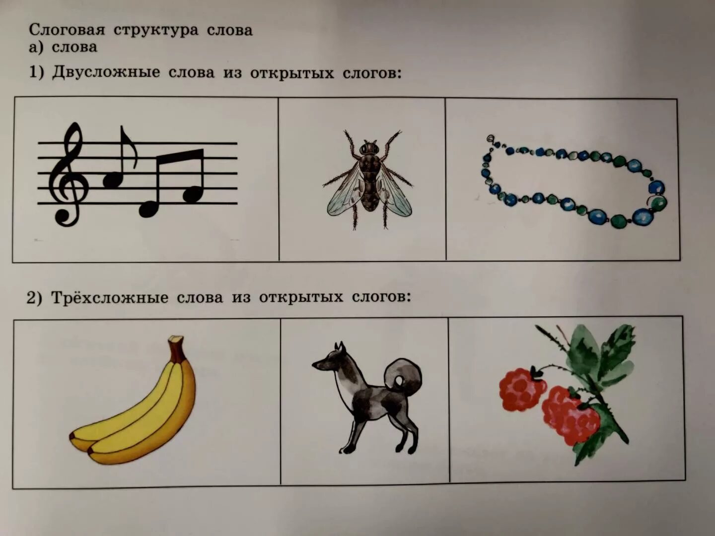 Графики по диагностики. Материал для обследования речи детей дошкольного возраста. Методы метод дидактические игры. Диагностика дидактическая игра. Материал для логопедического обследования.