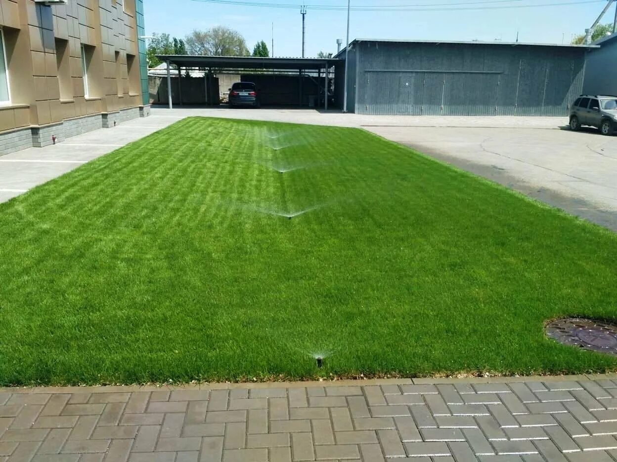 Газон (ландшафт). Газон на даче. Укладка газона. Рулонный газон под ключ. Ровный газон.