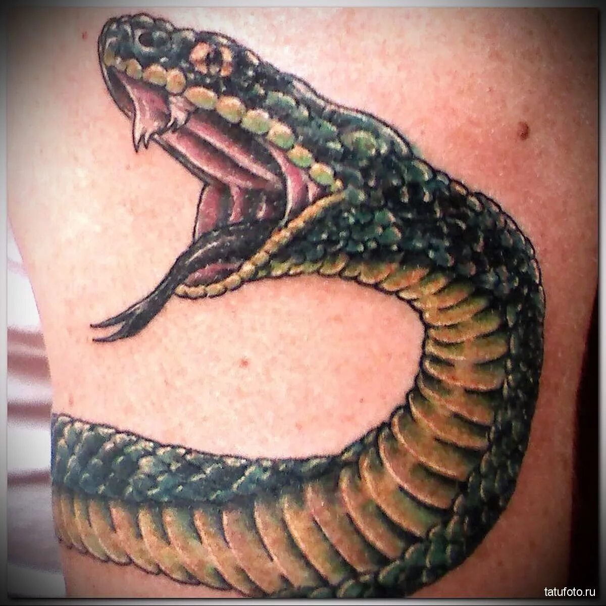 Змей головы значение. Эскизы татуировок змеи. Голова со змеями. Тату змеи. Тату змея на голове.