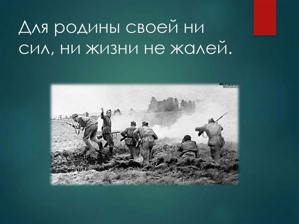 Родина ни. Для Родины своей ни сил ни жизни не жалей. Для Родины своей ни сил. Для Родины своей ни сил ни жизни не жалей смысл. Для Родины своей ни сил пословица.