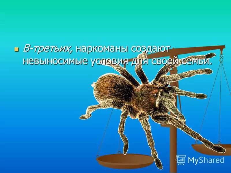 Создать невыносимые условия. Создать невыносимые условия. Функции морали. Создать невыносимые условия. Гогун а.
