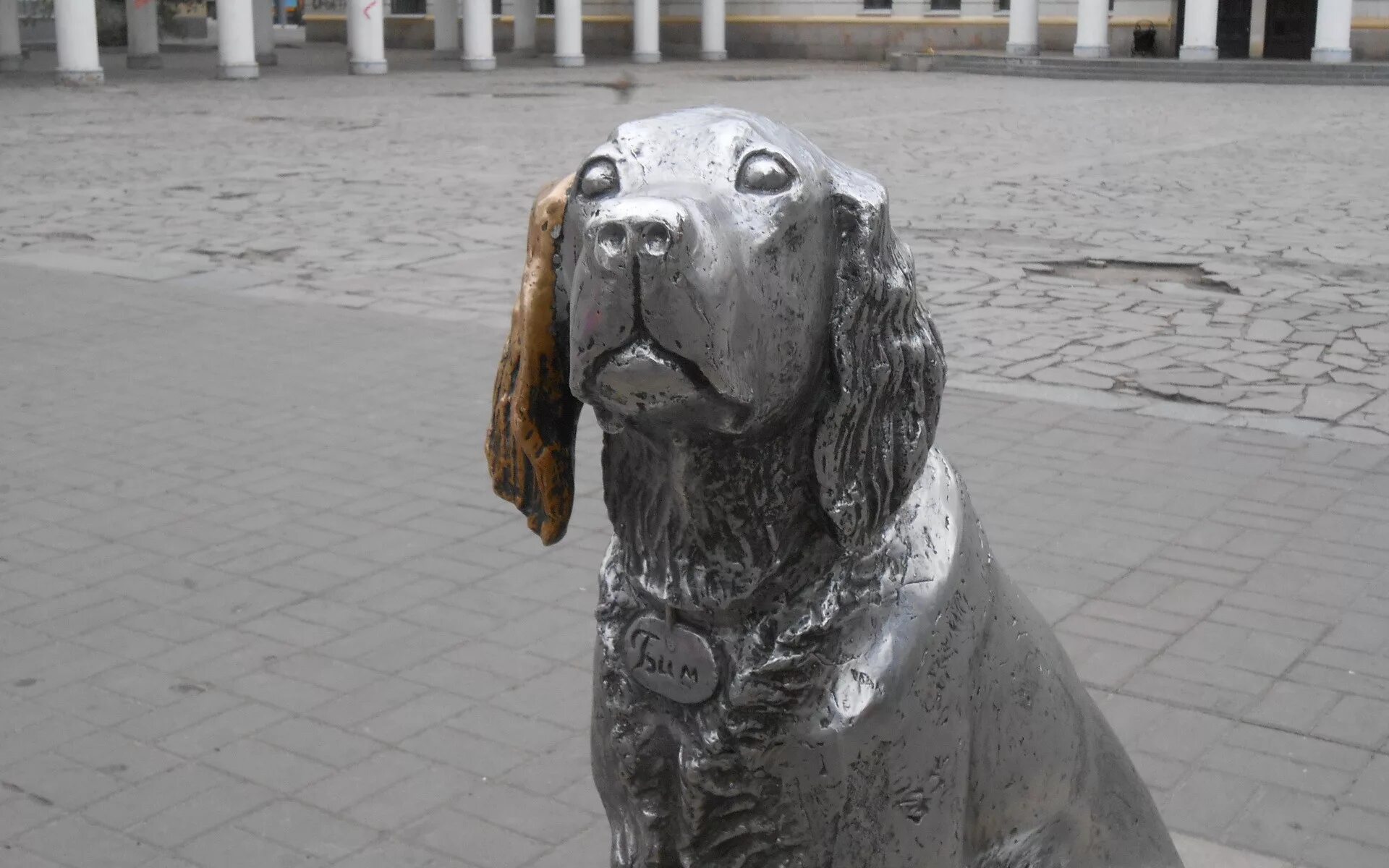 белый бим памятник в воронеже. бим белое ухо воронеж. памятник биму в воронеже. бим белое ухо воронеж. памятник белому биму черное ухо в воронеже.