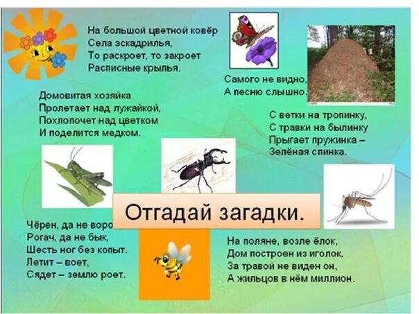 Тема насекомые в доу. Загадки про насекомых для детей. Мир насекомых для дошкольников. Насекомые с описанием. Интересные темы про насекомых.