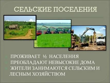 Строительство городских и сельских поселений