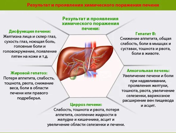 Воздействие лекарств на печень. Болит печень лекарства.