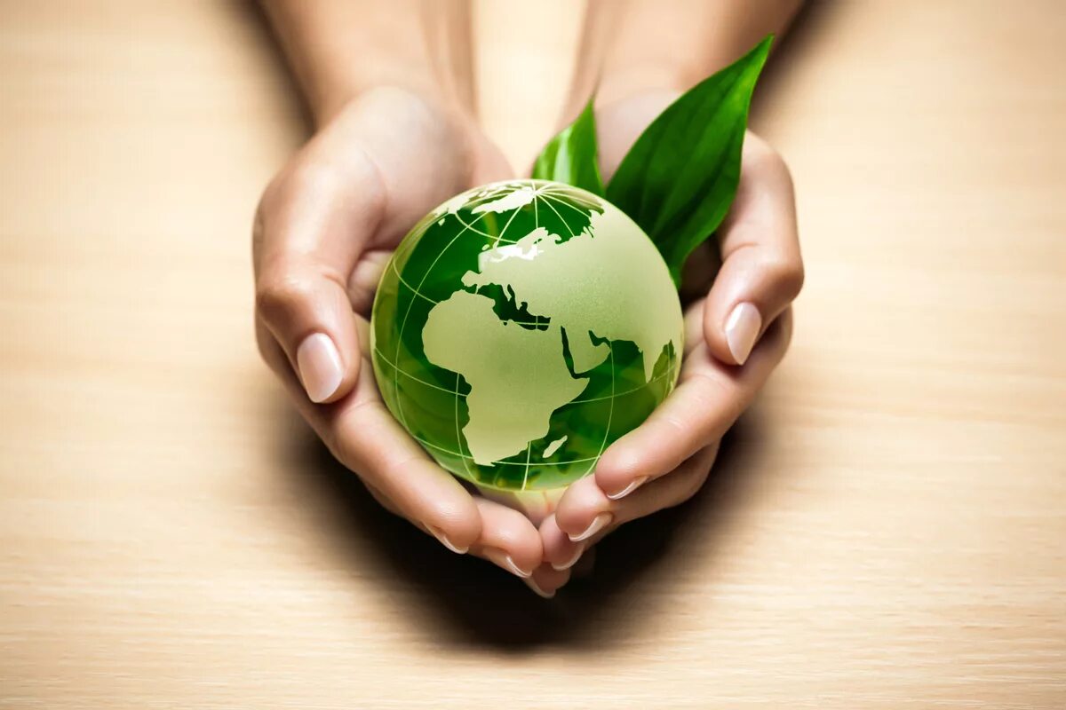 Международное экологическое отношение. Защита природы. Защита экологии и окружающей среды. Экологически чистая Планета. Здоровье в твоих руках.