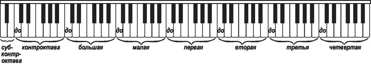 Октава высота. Расположение клавиш на синтезаторе. Расположение рук на пианино. Расположение рук на фортепиано. Октавы на фортепиано названия.
