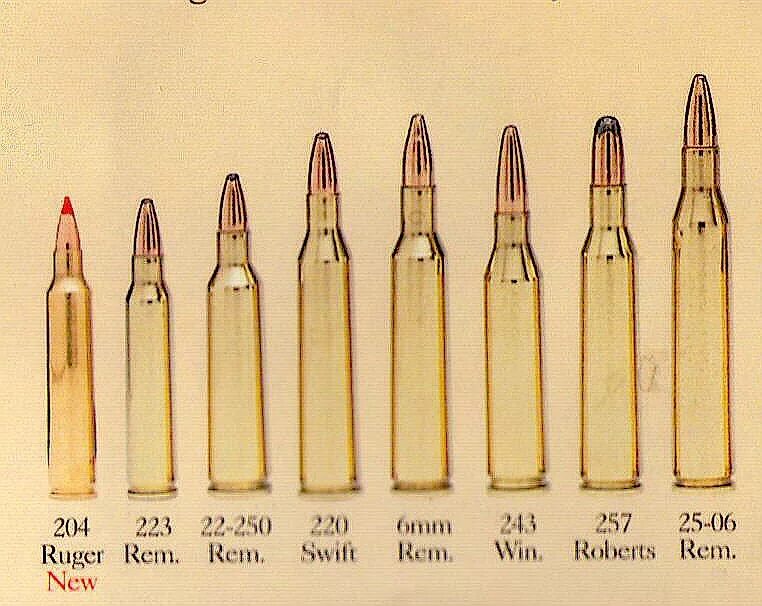 Калибры охотничьих патронов для нарезного оружия. Классификация калибров нарезного охотничьего оружия. Калибры винтовочных патронов таблица. Калибры охотничьих патронов для нарезного оружия. 3х62.