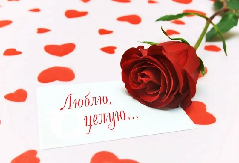 Я ее люблю девочку родную. Открытка люблю тебя. открытки для любимых. открытка любимой девушке. открытка &quot;я тебя люблю &quot;.
