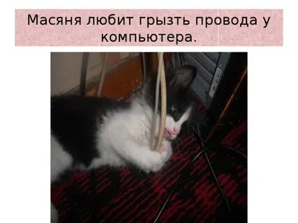 Песни провод перекусан