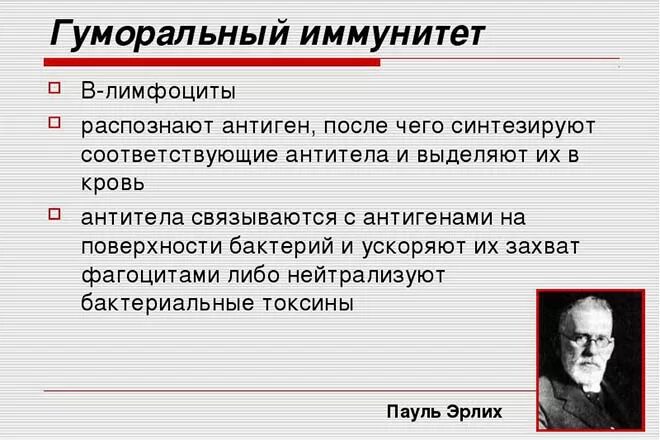 Теория иммунитета ученый. Гуморальная теория Эрлих. Гуморальная теория иммунитета Эрлиха. П Эрлих гуморальный иммунитет. Клеточная и гуморальная теория иммунитета.