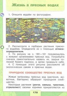 Окружающий мир 4 класс тема жизнь