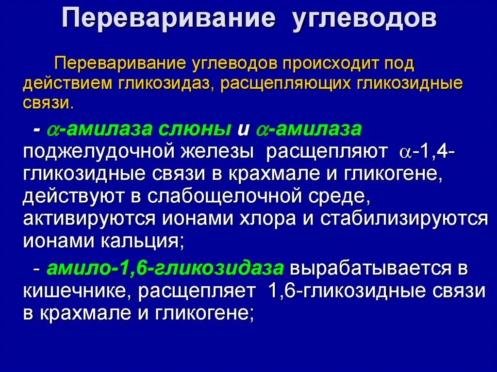 Ферменты поджелудочной железы расщепляющие углеводы. Переваривание углеводов происходит в. Гликозидазы это биохимия. Амилаза расщепление связей.