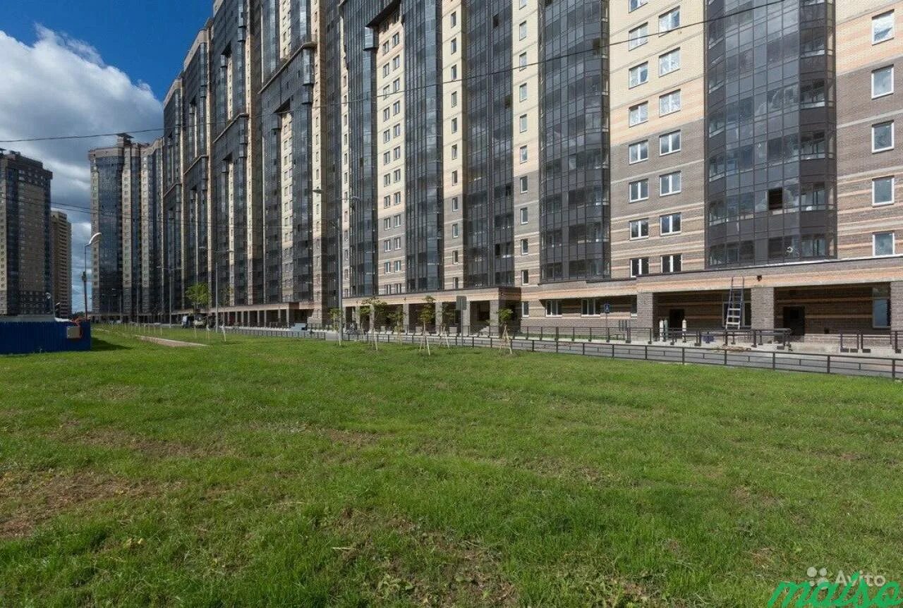 Санкт-петербург ул. Заречная 45/2. Заречная 45 спб. Парнас заречная 45 к 2. Заречная 45 к1 парнас.