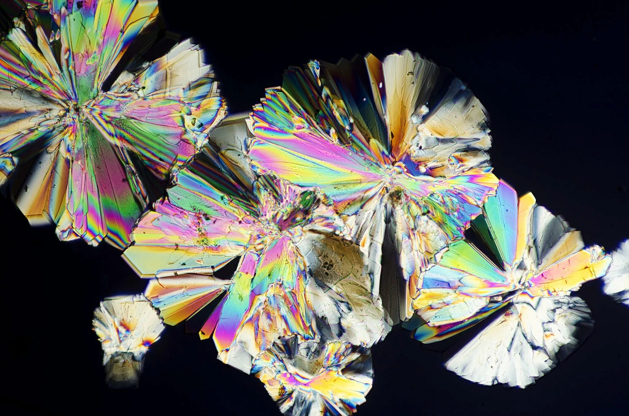 Кристаллы сахара под микроскопом. Кристалл сахара микроскоп. Кристаллы соли и сахара под микроскопом. Сахар под микроскопом.