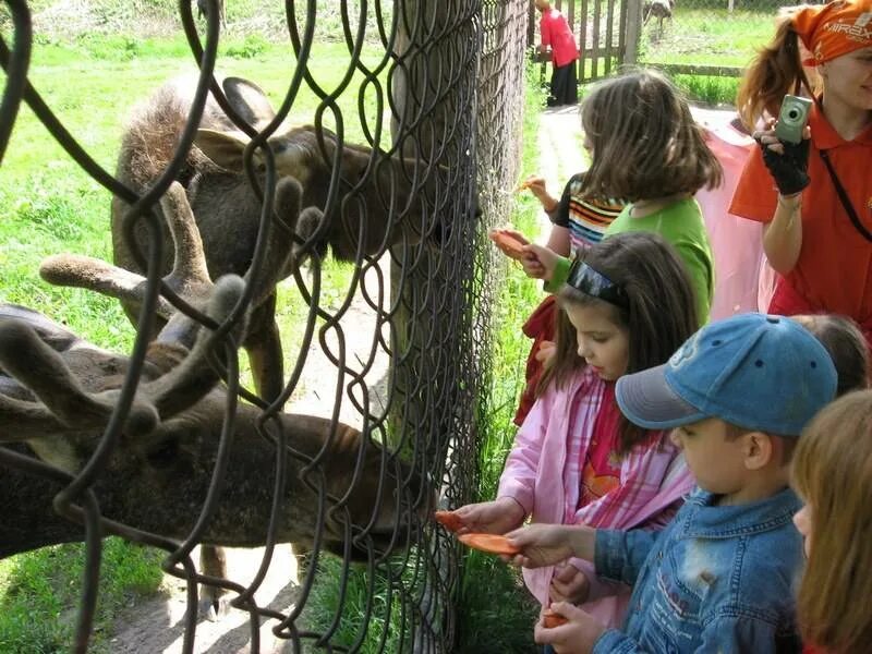 Детский развлекательный центр. Игровая комната тверь. Развлекательный центр для детей белгород мадагаскар. Дети на каникулах в казани. Куда сводить ребенка в твери.
