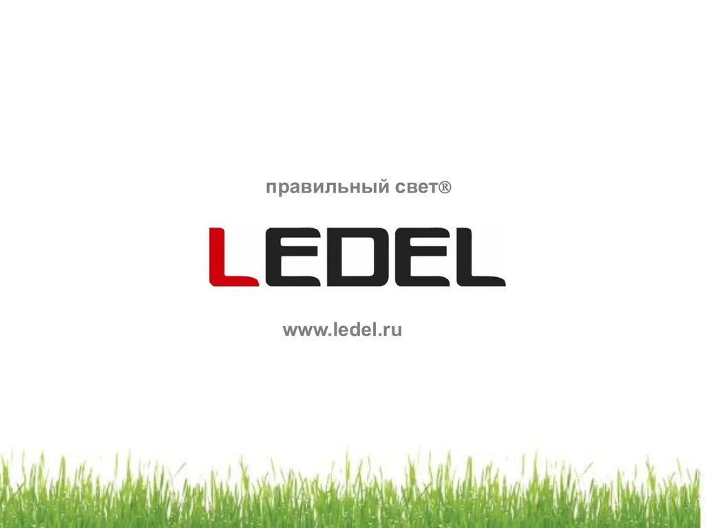 Правильная ru. LEDEL логотип. ООО Ледел. Ледел Казань. ООО Ледел Казань.