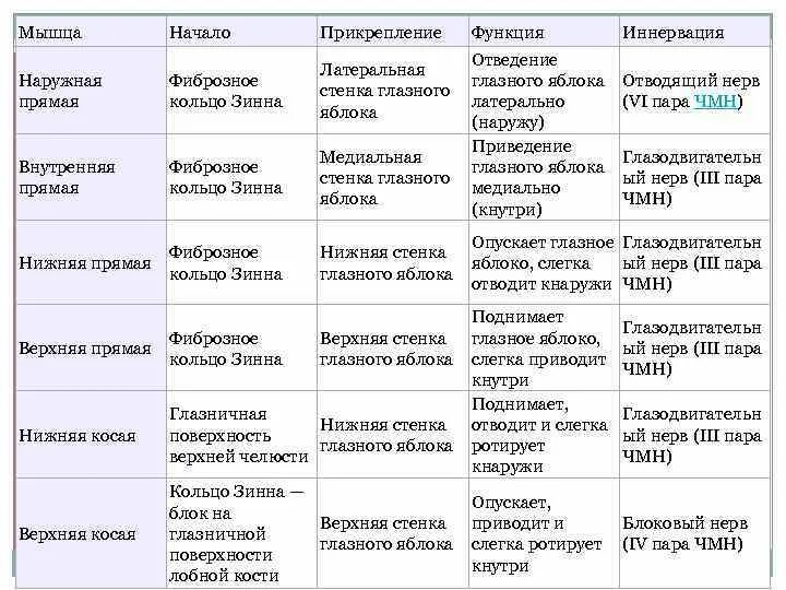 Черепные нервы анатомия функции. Мышцы глазного яблока таблица. Мышцы глазного яблока анатомия таблица. Мышцы глазного яблока функции. Иннервация черепно мозговых нервов