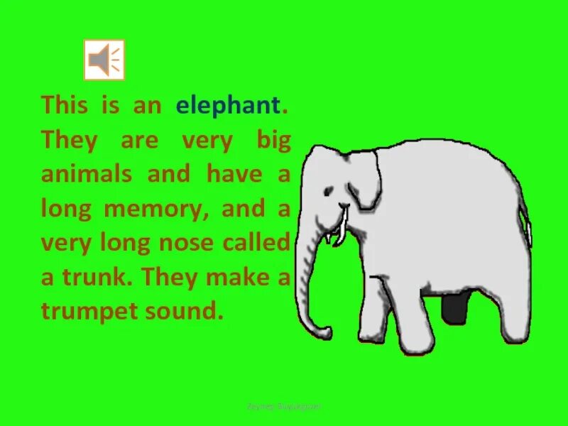 This is my animal. Слон на английском языке. Про слона на английском языке 2 класс. Elephant на английском. Проект по английскому языку про слона.