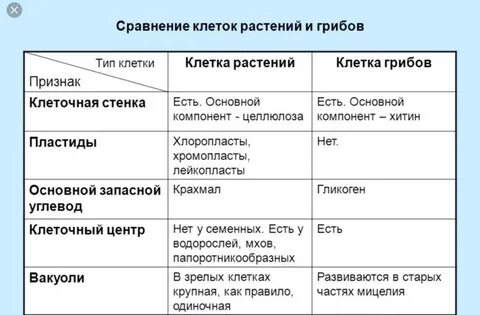 Сравнительная структура