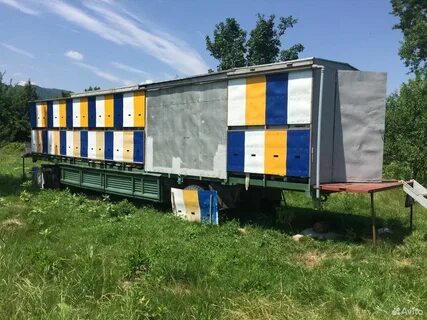 Пчелопавильон
