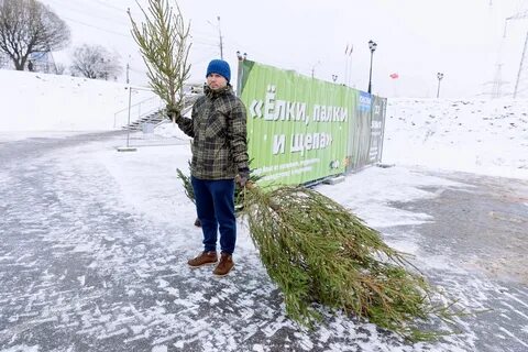 Переработка в 2024 году