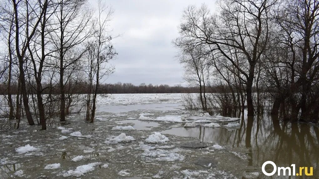 Где вскрылась река. Озеро вскрылось. Половодье картинки. Затопленные леса в НСО. Река в апреле фото.