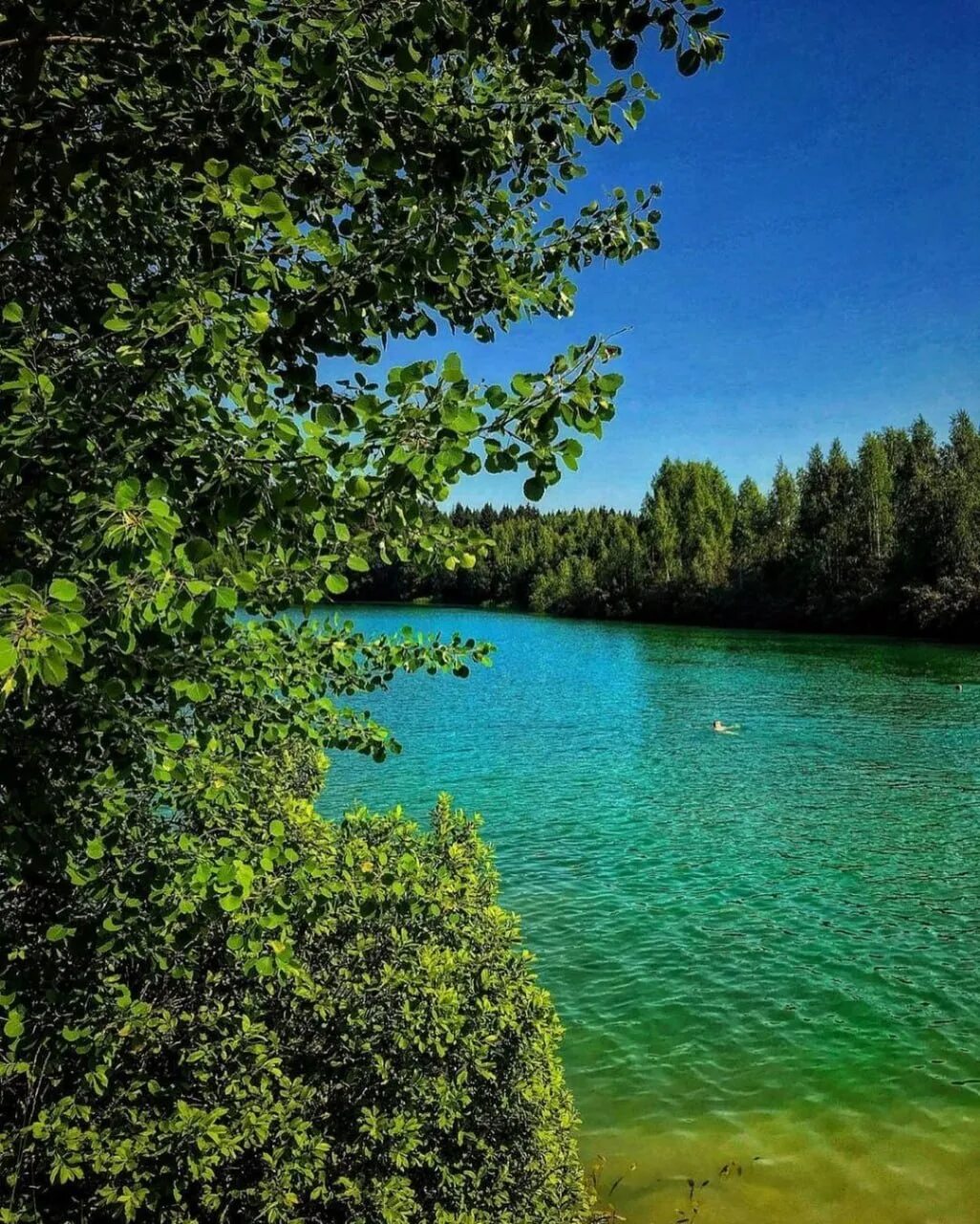 Голубое озеро Можайский район. Сычики Можайский район голубое озеро. Голубое озеро Дровнино Московская. Озеро Дровнино Можайский.