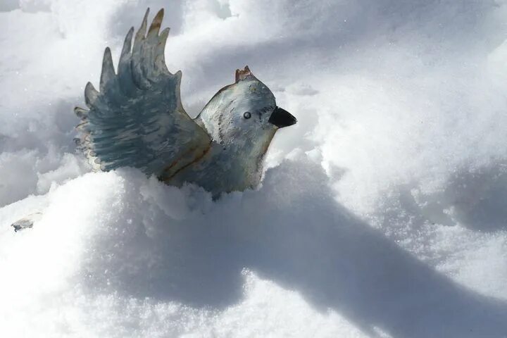 Снежная птица - 47 фото