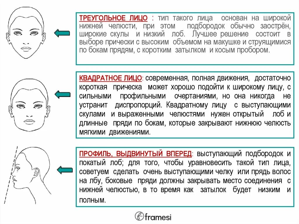 Лоб характер. Физиогномика лоб. Форма лба. Форма лба физиогномика. Низкий лоб.