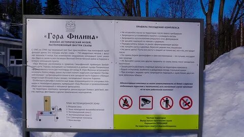 Расписание филина