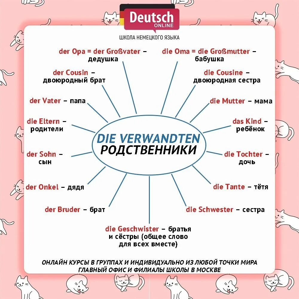 Читаем переводим немецкий. Текст по немецки для начинающих. Текст на немецком. Текст по немецкому языку для начинающих. Рассказ на немецком языке.