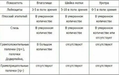 Нормальные показатели мазка у женщин