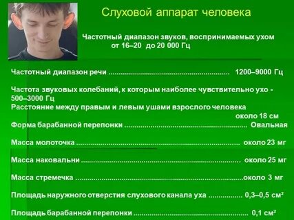 Почему человек не слышит высокие частоты